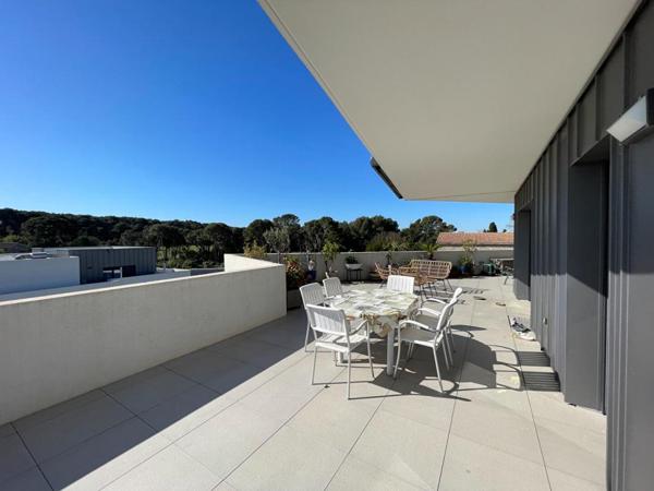 Appartement Castelnau Le Lez 4 pièce(s) 96.38 m2 rooftop