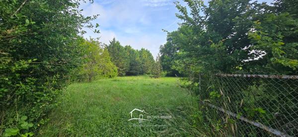 Terrain constructible 2 536 m² – Voulon, proche Vivonne Voulon (86700)