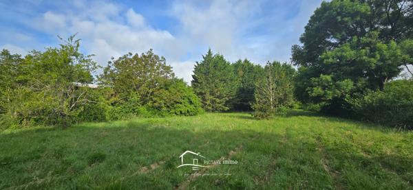 Terrain constructible 2 536 m² – Voulon, proche Vivonne Voulon (86700)