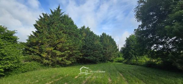 Terrain constructible 2 536 m² – Voulon, proche Vivonne Voulon (86700)
