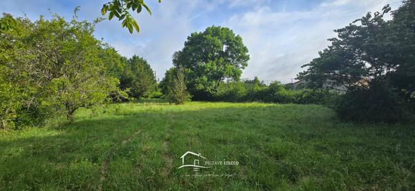 Terrain constructible 2 536 m² – Voulon, proche Vivonne Voulon (86700)