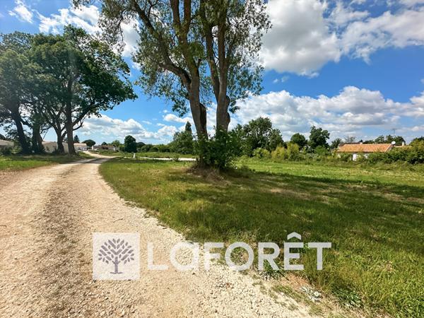 Achat terrain Gémozac - 657 m² - 59 200 €