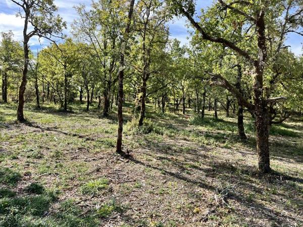 Terrain à vendre |  Lalbenque |  1424 m²