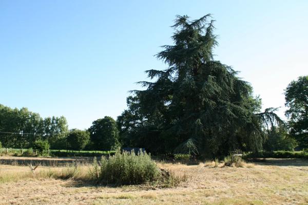 Vente Maison 6 pièces 104 m2 à Josselin