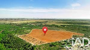 Terrain à vendre 1 226 m² Dolus-d'Oléron