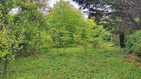 Terrain de 16,5 ares