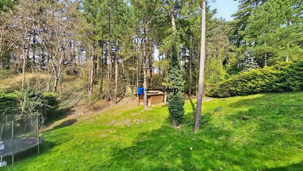 Élégante villa rénovée avec vue sur les pins