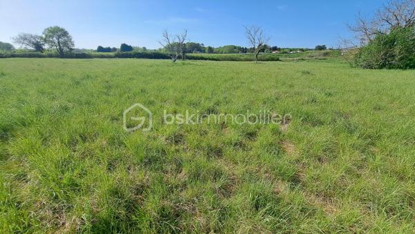 Terrain de 8 192 m²