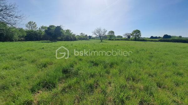 Terrain de 8 192 m²