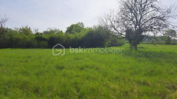 Terrain de 8 192 m²