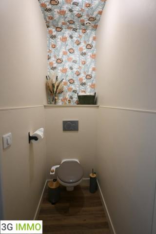 Vente / Appartement T3 à Saint-Martin-en-Haut (69850)