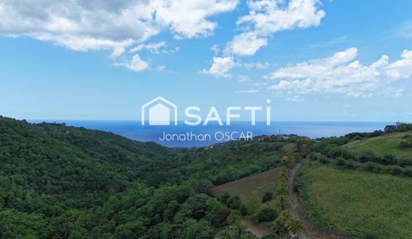 Terrain constructible 5 193 m2 Le Carbet vue mer