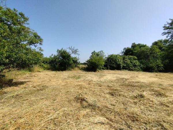 Vente / Terrain
