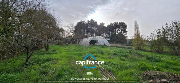 Maison familiale d'environ 200 m² avec dépendances et grand terrain TONNEINS.