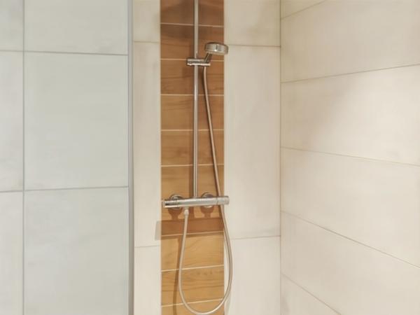 Territoire de Belfort (90) – À vendre Appartement rénové de 37,75 m² – 2ᵉ étage – Delle centre – Vendu nu ou meublé