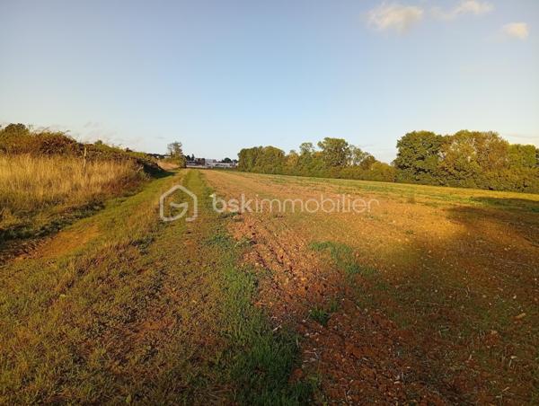 Terrain agricole de 19 960 m²