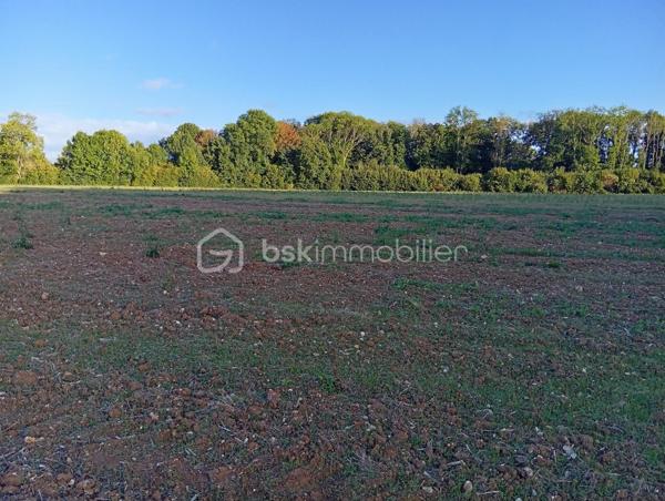 Terrain agricole de 19 960 m²