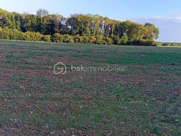 Terrain agricole de 19 960 m²