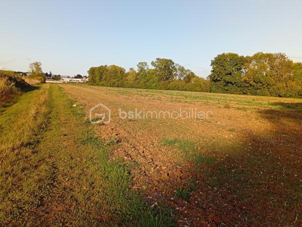 Terrain agricole de 19 960 m²