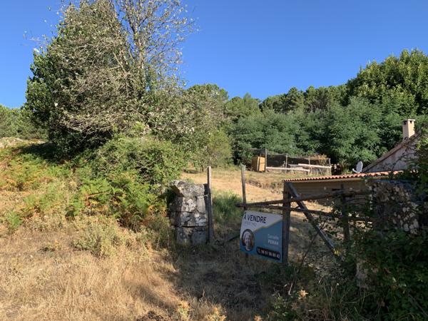Porto-Vecchio (20137) Terrain à bâtir en lisière de forêt à Cartalavone