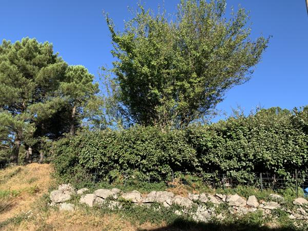 Porto-Vecchio (20137) Terrain à bâtir en lisière de forêt à Cartalavone