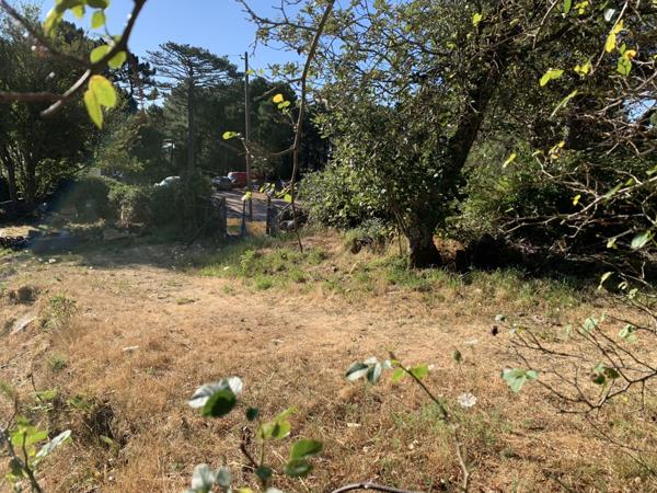 Porto-Vecchio (20137) Terrain à bâtir en lisière de forêt à Cartalavone