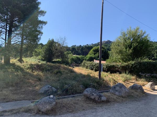 Porto-Vecchio (20137) Terrain à bâtir en lisière de forêt à Cartalavone