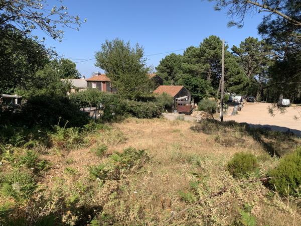 Porto-Vecchio (20137) Terrain à bâtir en lisière de forêt à Cartalavone