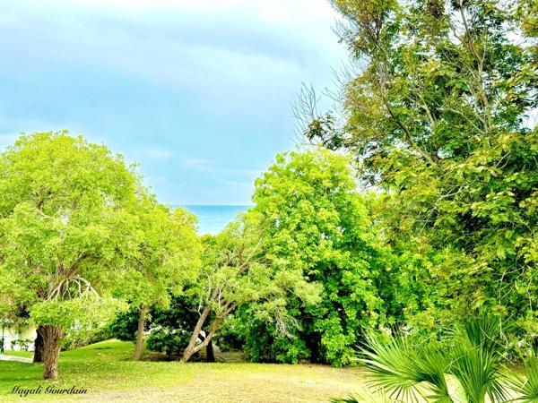 A VENDRE – GRAND STUDIO MEUBLÉ VUE MER CLÉ EN MAIN EN RÉSIDENCE TOURISTIQUE AVEC ACCÈS DIRECT PLAGE - SAINTE ANNE