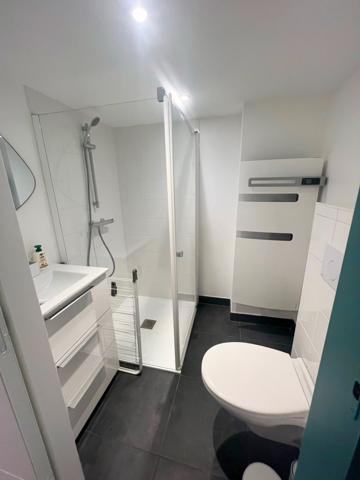 Lyon (69001) Proche Hôtel de Ville - Studio 32 m²