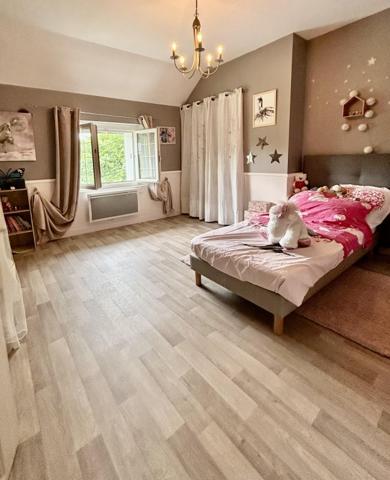Vente / Maison ancienne à Fondettes (37230)