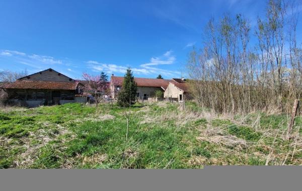 Vente Maison sur 9026 m² de terrain Mallerey   