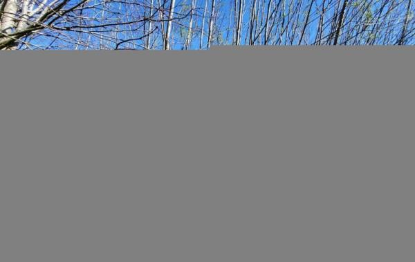 Vente Maison sur 9026 m² de terrain Mallerey   