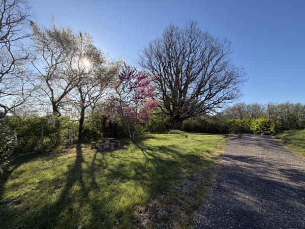 Castelculier (47240) MAISON 150 M2 4 CHAMBRES ET 7145 M2 DE TERRAIN