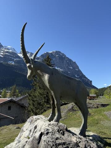 Commerce à vendre à Pralognan-la-Vanoise (73710) - Savoie