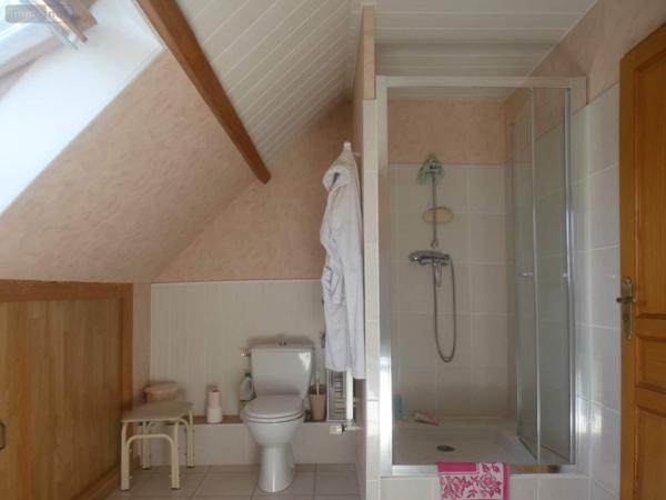 Maison à vendre à Ferrières-en-Gâtinais dans le Loiret (45210), ref : 065/1208