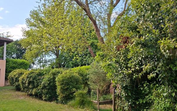 Maison à vendre    13 pièces •  Montfort-en-Chalosse