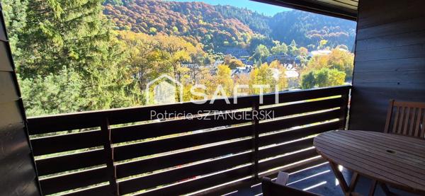 Très beau duplex de 105 m² avec terrasse, cave, place de parking dans résidence calme avec ascenseur, gardien.