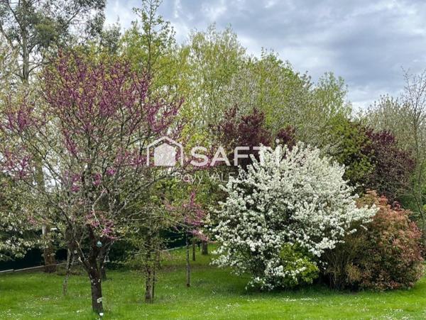 Villa d'architecte de 176m² sur 6000m² de terrain