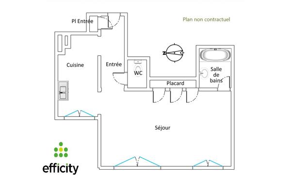 Appartement 1 pièce - 42 m² Exclusivité efficity