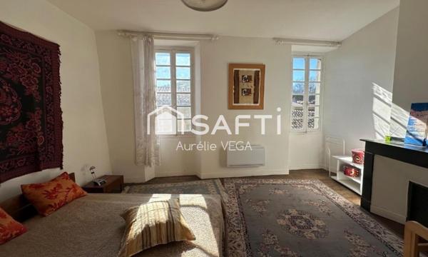 Propriété en pierre historique avec fort potentiel