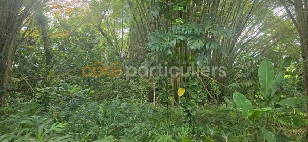 Vente Terrain3166 m² - LAMENTIN (97129)