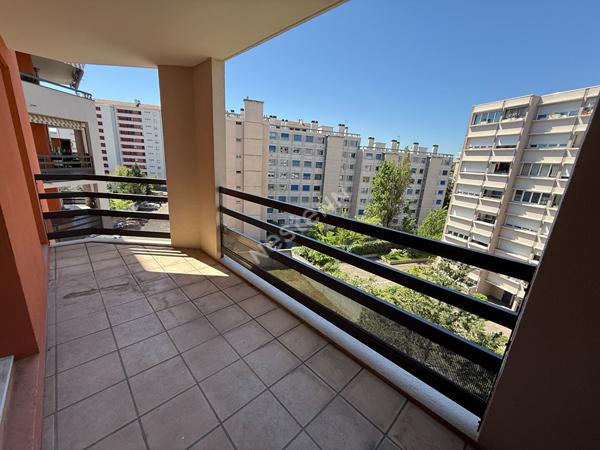Villeurbanne T2 43 m² rénové , Terrasse + balcon + cave + garage (en supplément)
