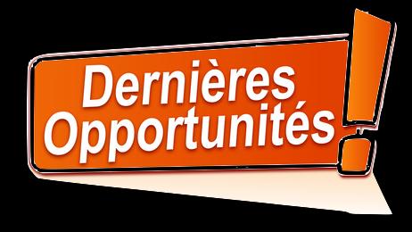 Appartements atypiques de style loft 69003 Lyon 4 pièce(s)  84,55m2  avec 71 M²  Terrasse