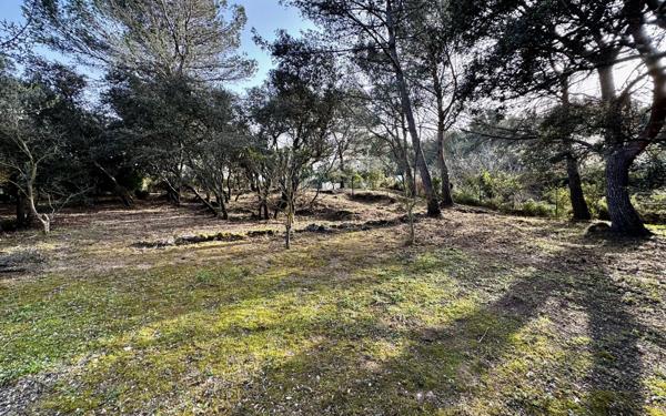 Maison à vendre    6 pièces •  Saint-Chamas