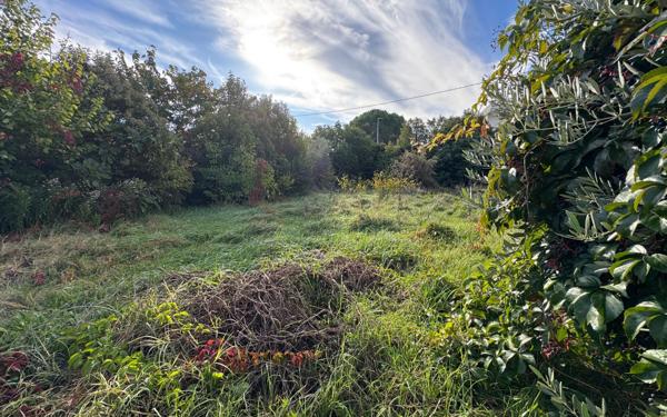 Terrain à vendre    Carpentras
