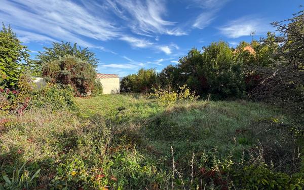 Terrain à vendre    Carpentras