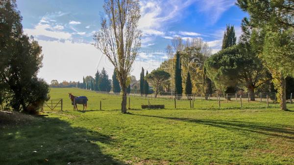VENTE 45MN NORD TOULOUSE CHÂTEAU DÉPENDANCES PARC 23HA