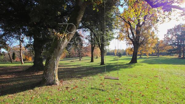 VENTE 45MN NORD TOULOUSE CHÂTEAU DÉPENDANCES PARC 23HA