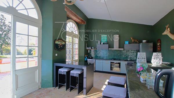 VENTE 45MN NORD TOULOUSE CHÂTEAU DÉPENDANCES PARC 23HA